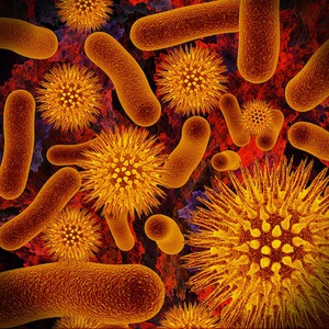 Indications spéciales du médicament Chlorhexidine